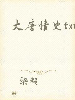 大唐情史txt