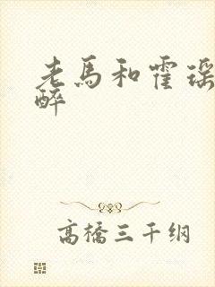 老马和霍瑶瑶喝醉