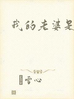 我的老婆是大神