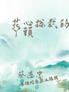 花心总裁的小小丫头