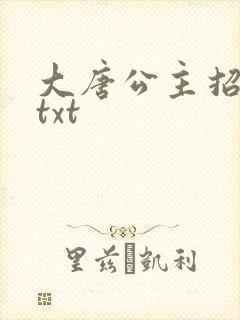 大唐公主招亲记txt