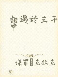 相遇于三千肉文中