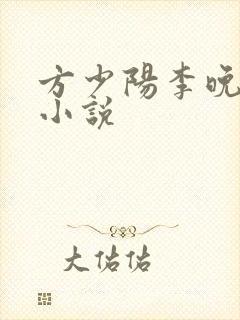 方少阳李晚晴的小说