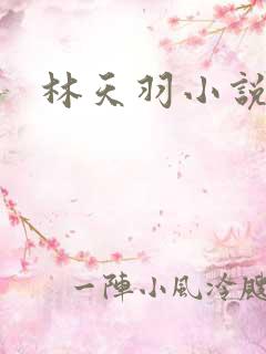 林天羽小说