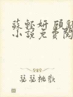 苏轻妍 顾辞笙小说免费阅读