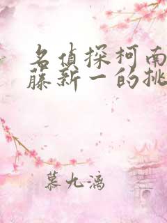 名侦探柯南给工藤新一的挑战书