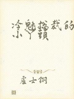 冷魅总裁的纯纯小丫头