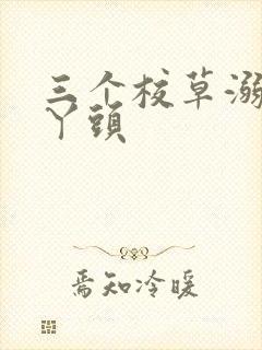 三个校草溺爱拽丫头