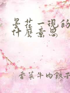 昙花一现的现是什么意思