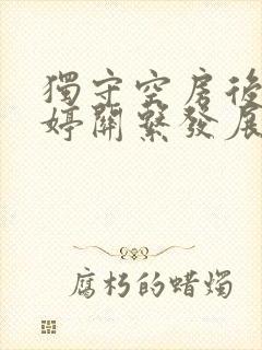 独守空房后与姜婷关系发展