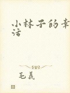 小林子的幸福生活