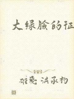 大绿脸的征途