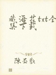 藏海花txt全集下载