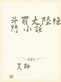 斗罗大陆绝世唐门 小说