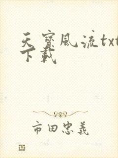天宝风流txt下载