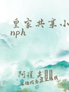 皇家共享小公主nph