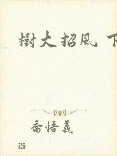 树大招风 下载