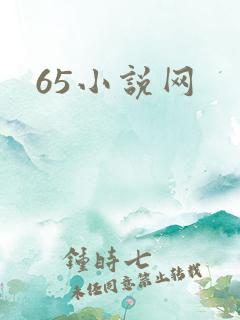 65小说网