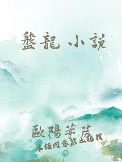 盘龙 小说