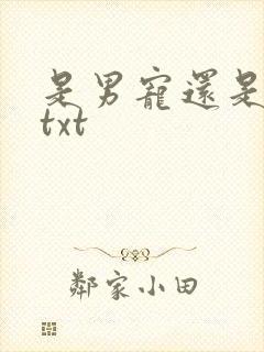 是男宠还是禁脔txt