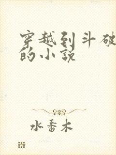 穿越到斗破苍穹的小说