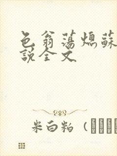 色翁荡熄苏钥小说全文