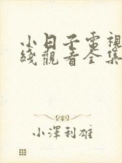 小日子电视剧在线观看全集免费高清