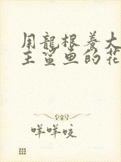 用龙根养大的公主鲨鱼的花