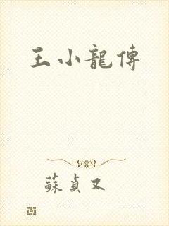 王小龙传