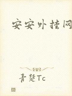 安安外挂网
