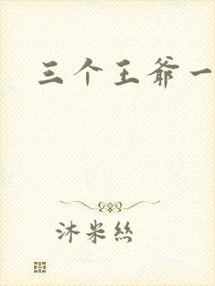 三个王爷一个妃