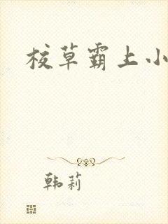 校草霸上小丫头