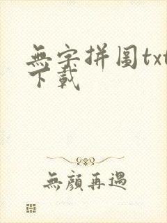 无字拼图txt下载