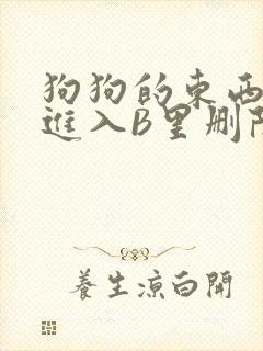 狗狗的东西直接进入B里删除