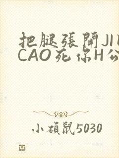 把腿张开JI巴CAO死你H公园