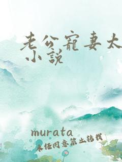 老公宠妻太甜蜜 小说