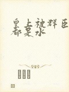 皇上被群臣干的都是水