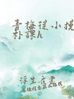 青梅从小摸到大补课h
