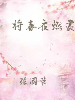 将春夜燃尽
