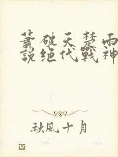 萧破天楚雨馨小说绝代战神