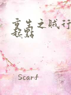 重生之贼行天下起点