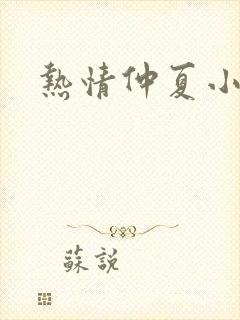 热情仲夏小说