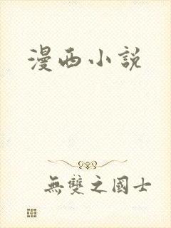漫西小说