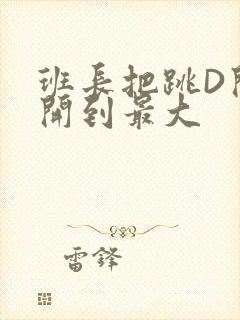 班长把跳D开关开到最大