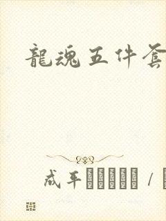龙魂五件套