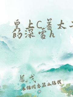 皇上C着太子妃的深处h