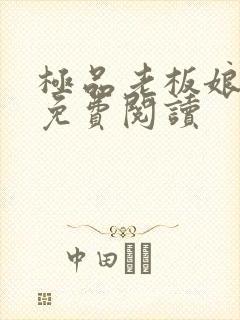 极品老板娘全文免费阅读