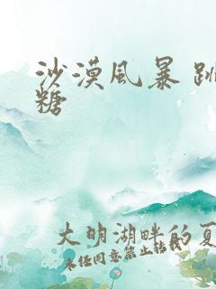 沙漠风暴 跳跳糖