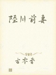 陆川前妻