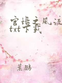 官场之风流人生txt下载